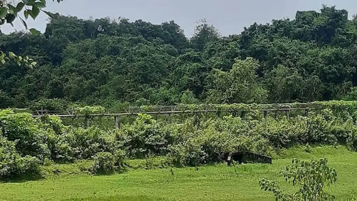 লালমনিরহাটে ৩৩ জনকে পুশ ইনের চেষ্টা