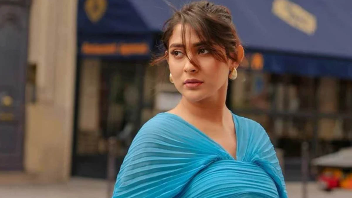 বিমানবন্দরে আমাকে থামানো হয়নি, লাগেজও আটকানো হয়নি: মেহজাবীন