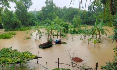 ১২ জেলায় বন্যার শঙ্কা, বাড়তে পারে নদ-নদীর পানি