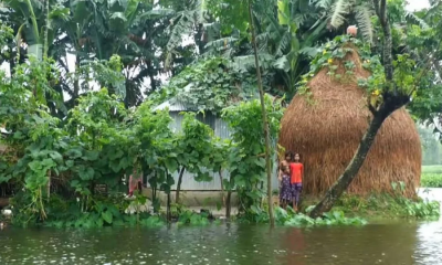 বরাদ্দকৃত ৩০ মেট্রিক টন চাল, একমুঠোও জোটেনি বন্যার্তদের ভাগ্যে
