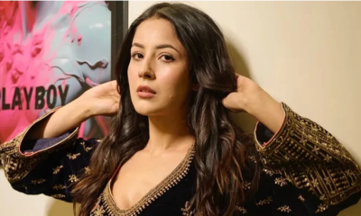 শুটিং সেটে অভিনেত্রী শেহনাজ গিলের ভিডিও ফাঁস, মূহুর্তেই ভাইরাল