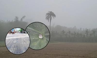 চুয়াডাঙ্গায় দাবদাহে গলছে সড়কের পিচ, একই দিনে কুড়িগ্রামে ঘনকুয়াশা