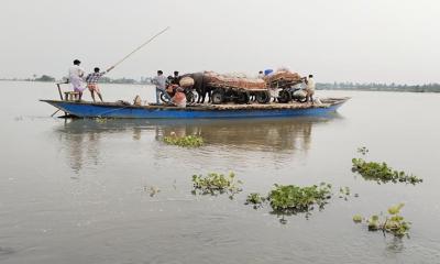 তীব্র নদীভাঙনে নিঃস্ব কয়েকশ পরিবার