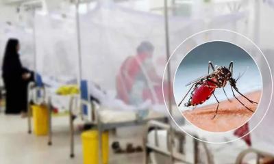 ডেঙ্গুতে ৯ জনের মৃত্যু, হাসপাতালে ভর্তি ১৯০২