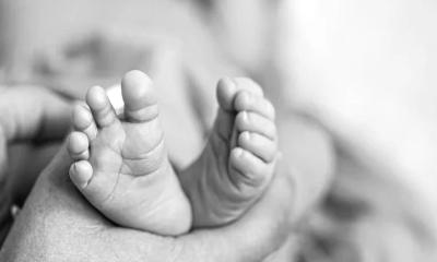 ঈদের ছুটিতে বাড়ি ফেরার পথে ট্রাকের ধাক্কায় প্রাণ গেল স্বামী-স্ত্রী ও সন্তানের