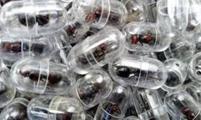 কেনিয়া থেকে পিঁপড়া পাচারের চেষ্টা, চীনা নাগরিক গ্রেপ্তার