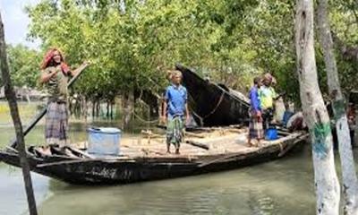সুন্দরবনে মধু আহরণ মৌসুমে বাঘের চেয়েও বড় আতঙ্ক জলদস্যু