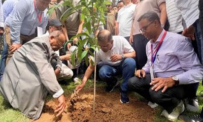 প্রধানমন্ত্রী দেশব্যাপী শিক্ষাপ্রতিষ্ঠানে বৃক্ষরোপণ কর্মসূচির উদ্বোধন করবেন আজ