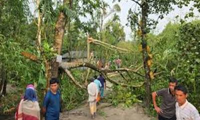 গাইবান্ধায় কালবৈশাখীর তাণ্ডব, লন্ডভন্ড গ্রাম