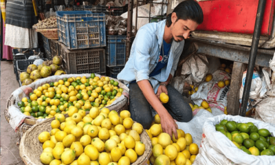 রমজান শুরুর আগেই রাজশাহীতে লেবুর দাম তিনগুণ