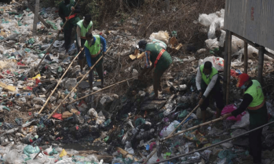 মশক নিধনে ডিএসসিসির ক্রাশ প্রোগ্রাম, থাকছে চার স্তরের তদারকি ব্যবস্থা