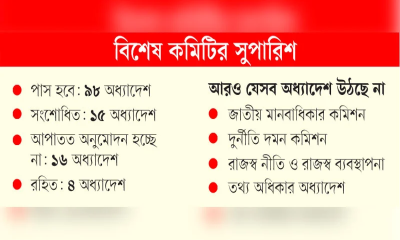 পাশ হচ্ছে  না গণভোট, বিচার বিভাগ সংস্কার  গুম প্রতিরোধ অধ্যাদেশ