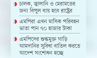 এমপিদের গাড়ি চাওয়া নিয়ে প্রশ্ন, রাষ্ট্রের খরচও বাড়বে