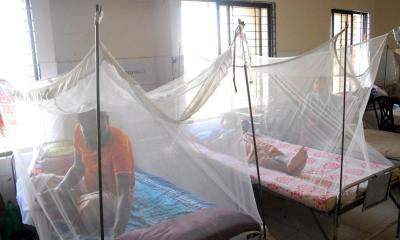 ডেঙ্গু কীভাবে ছড়ায়, বাঁচার উপায় কী