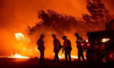 সিগারেটের আগুন থেকে দাবানল, সাইপ্রাসের ১০০ বর্গকিলোমিটার বনাঞ্চল পুড়ে ছাই