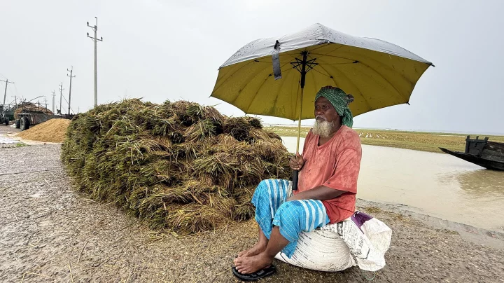 হাওরজুড়ে হাহাকার: পানিতে ভাসছে কৃষকের স্বপ্ন